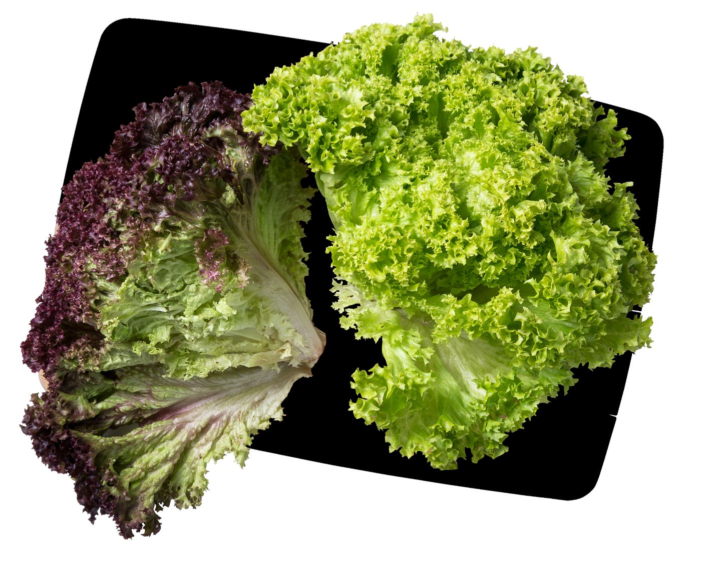 Изображение на Салата Лоло микс 