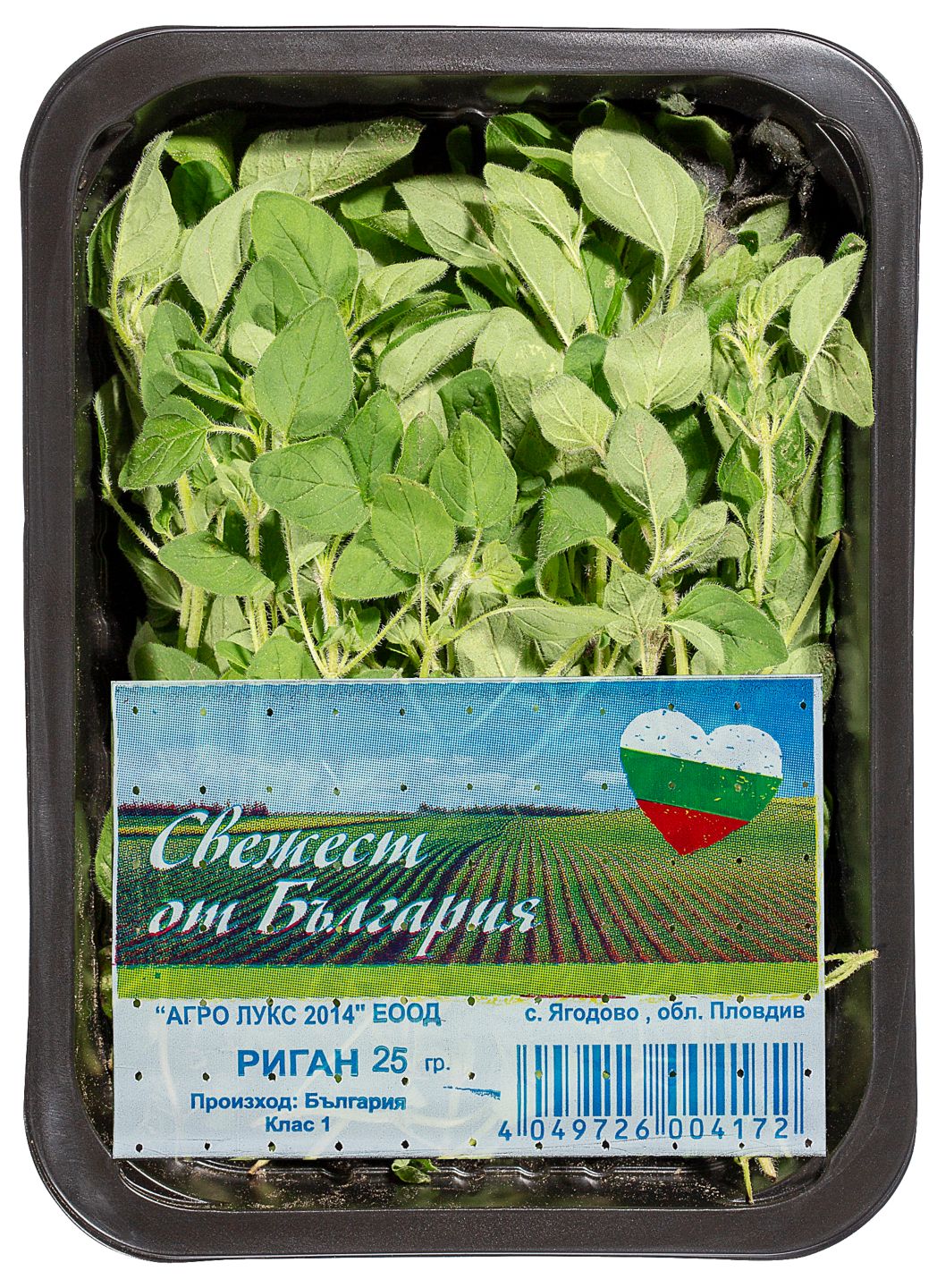Изображение на Риган Клас: I
