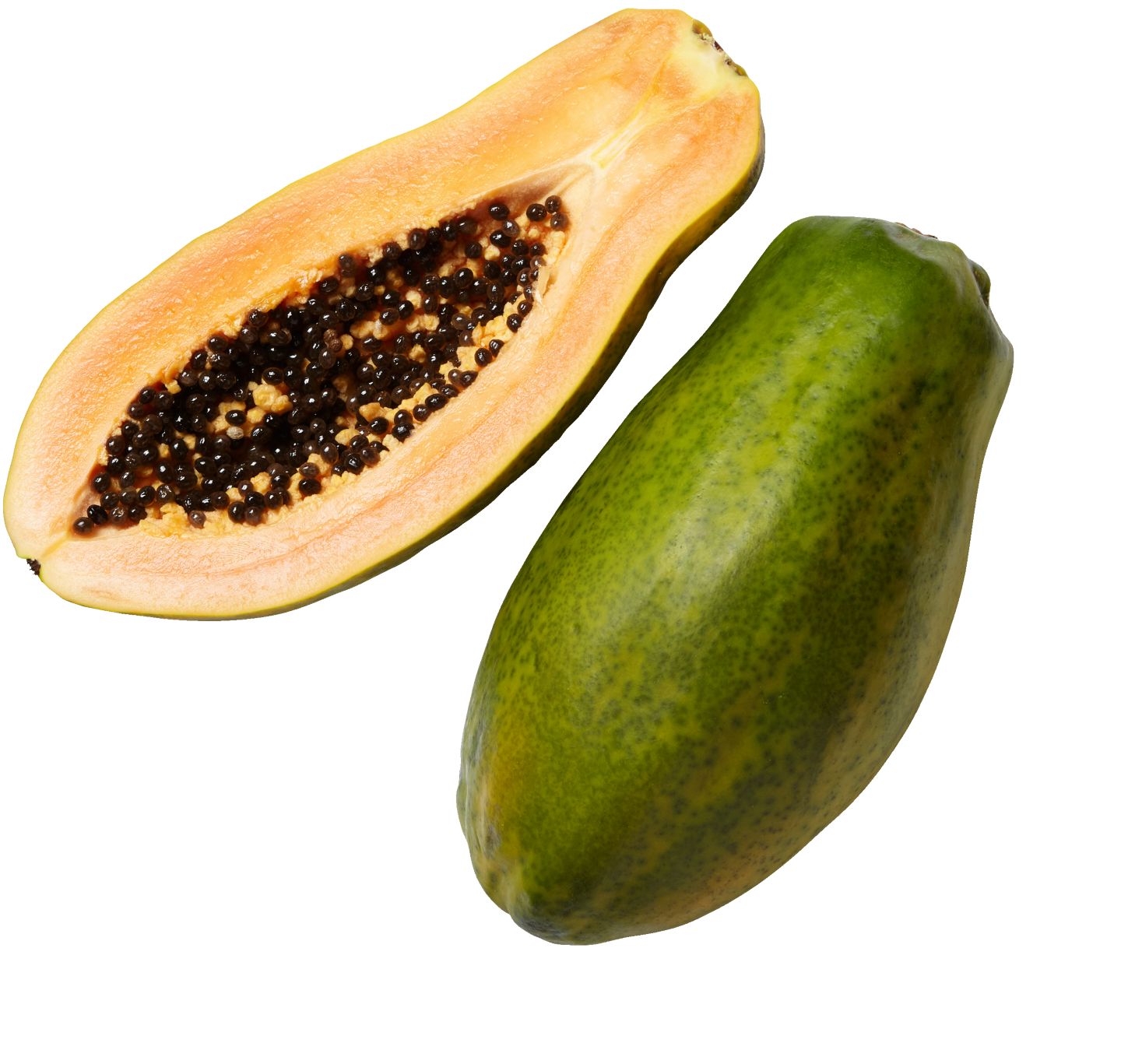 Papaya velká 