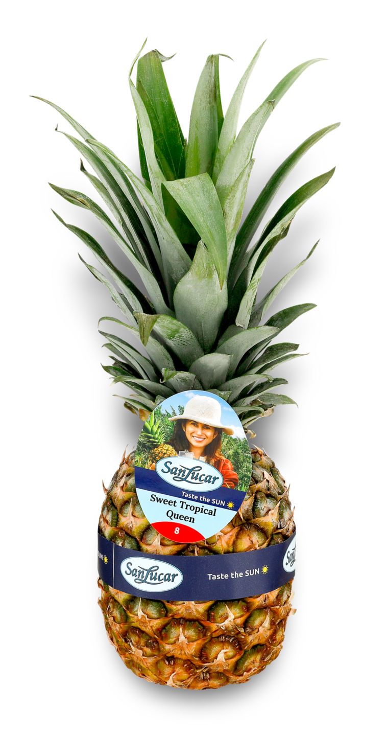 Ananas Sanlucar Gold 