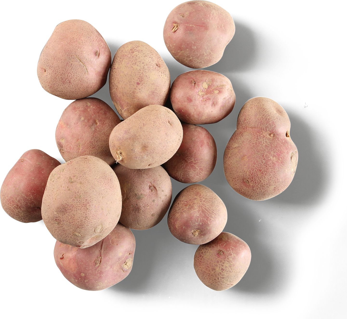 Zemiaky sadbové červené 