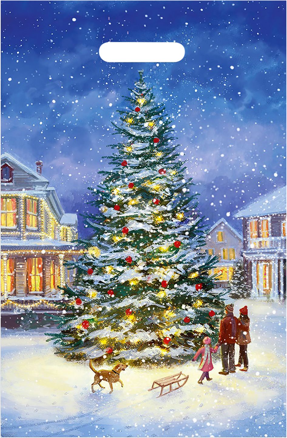 Taška Mikuláš rozměry: 30 x 46 x 9 cm