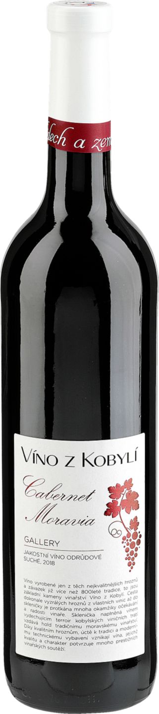 Víno z Kobylí Gallery
různé druhy