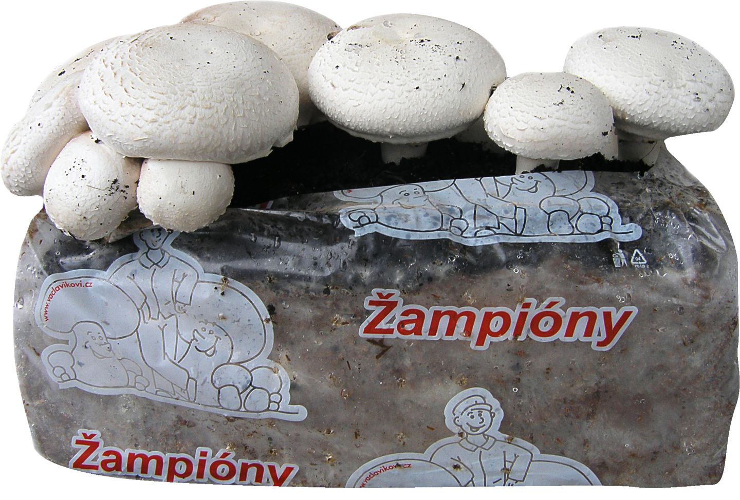 Žampionová zahrádka objem: 15 l