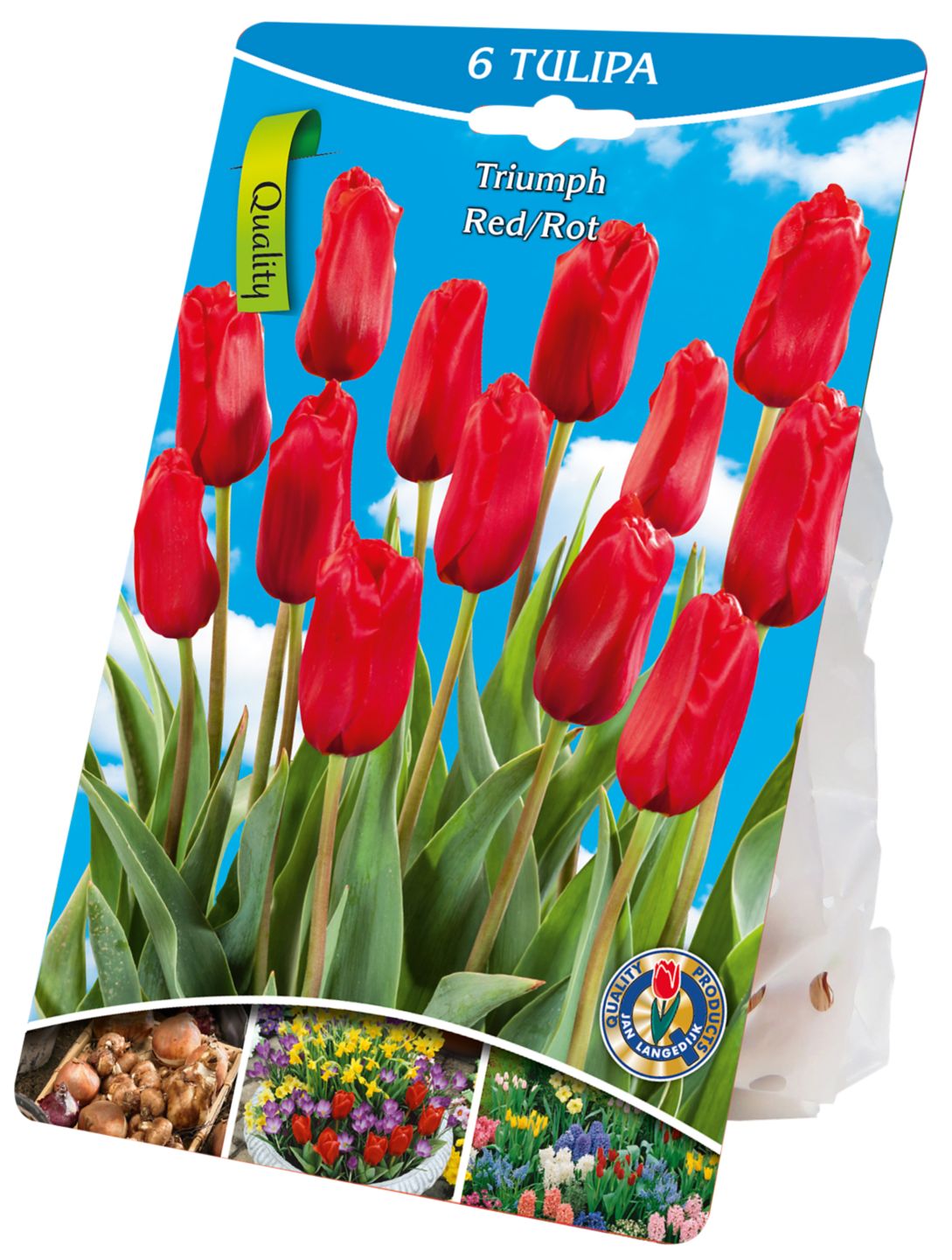 Tulipány červené 6x