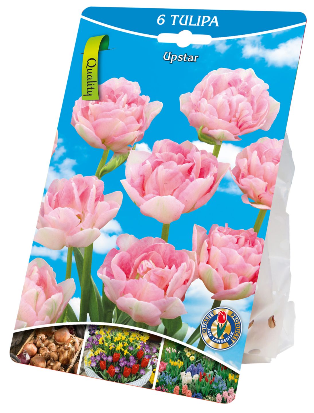 Tulpen »Gefüllt rosa« Blumenzwiebeln
