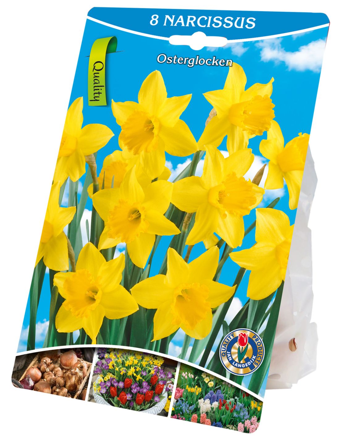 Narzissen »Osterglocken« Blumenzwiebeln