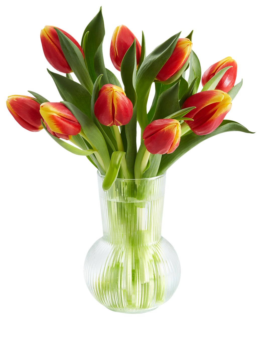 Kytice Tulipány dvoubarevné 