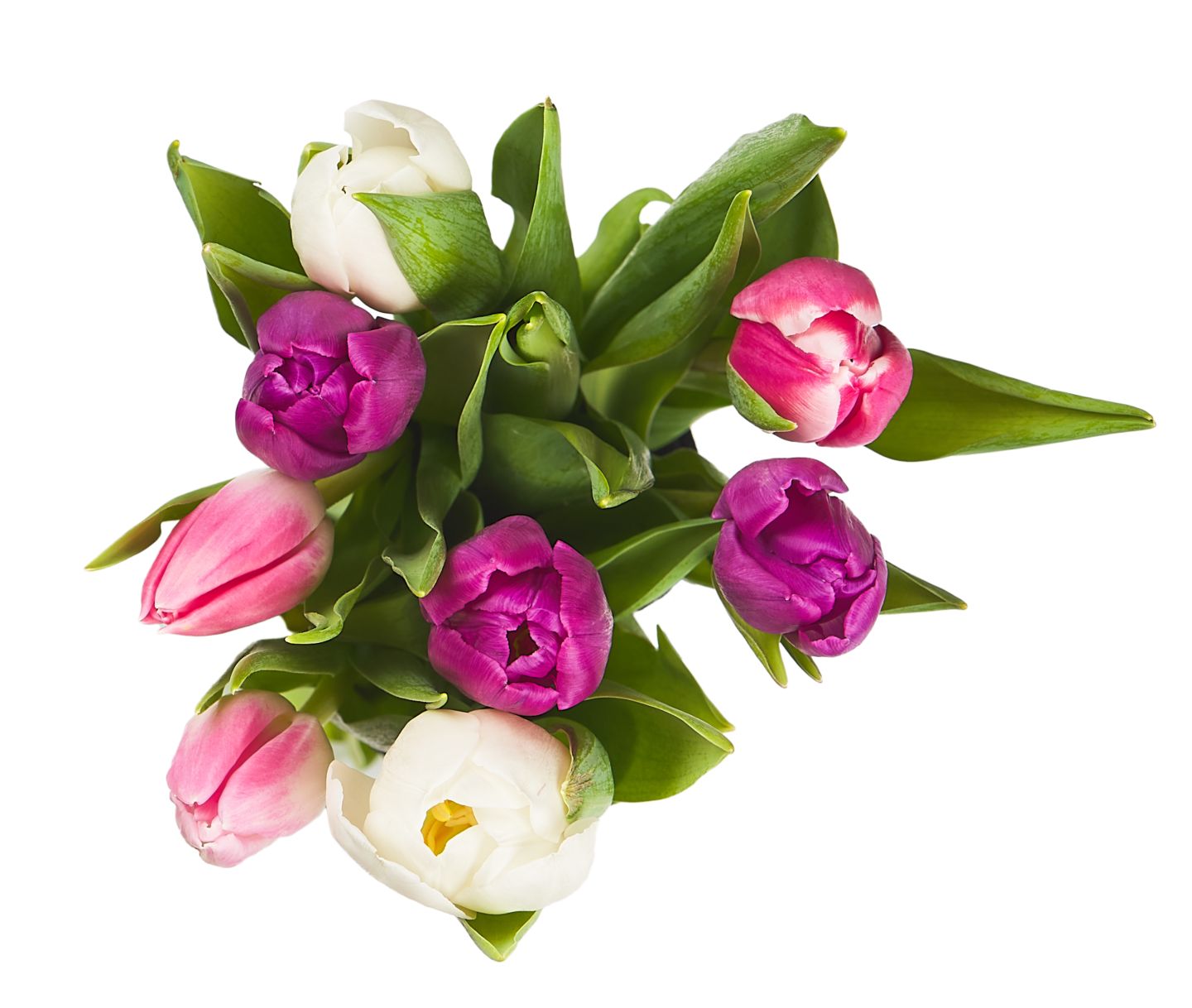 Изображение на Букет лалета микс 