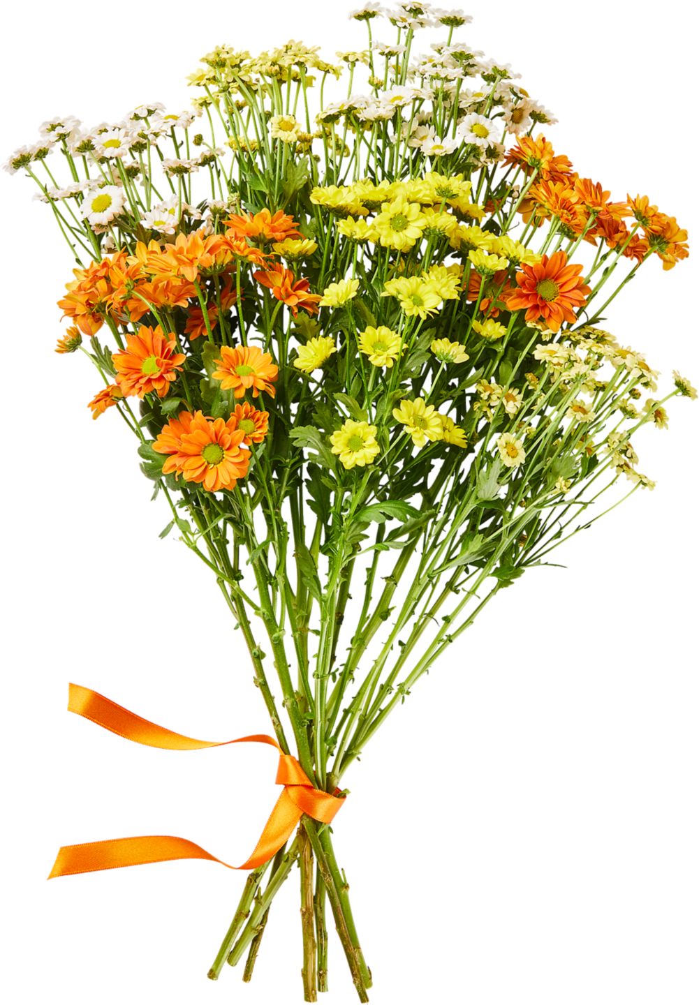 Kytice chryzantémy Santini 