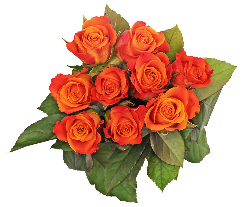 Fotografija ponude Buket ruža 40 cm 