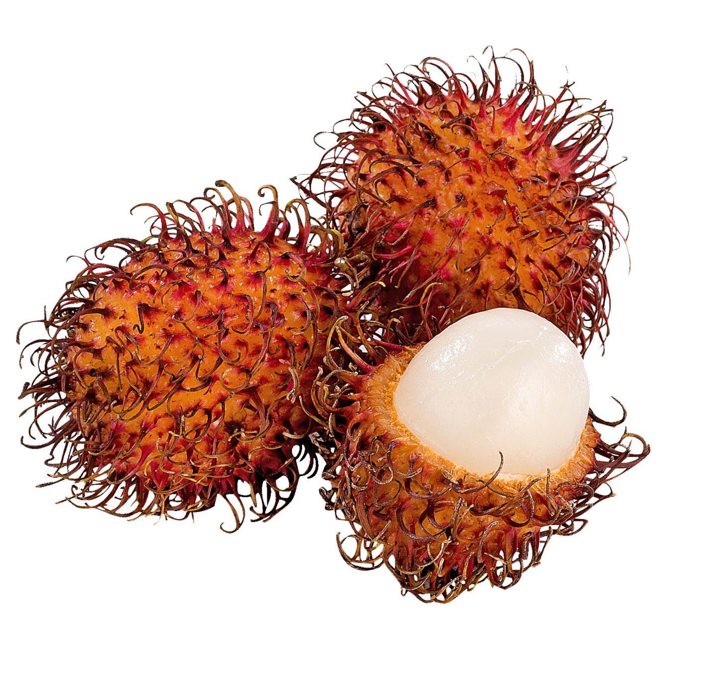 Rambutan 