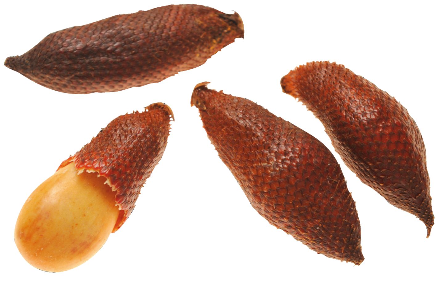 Salak 