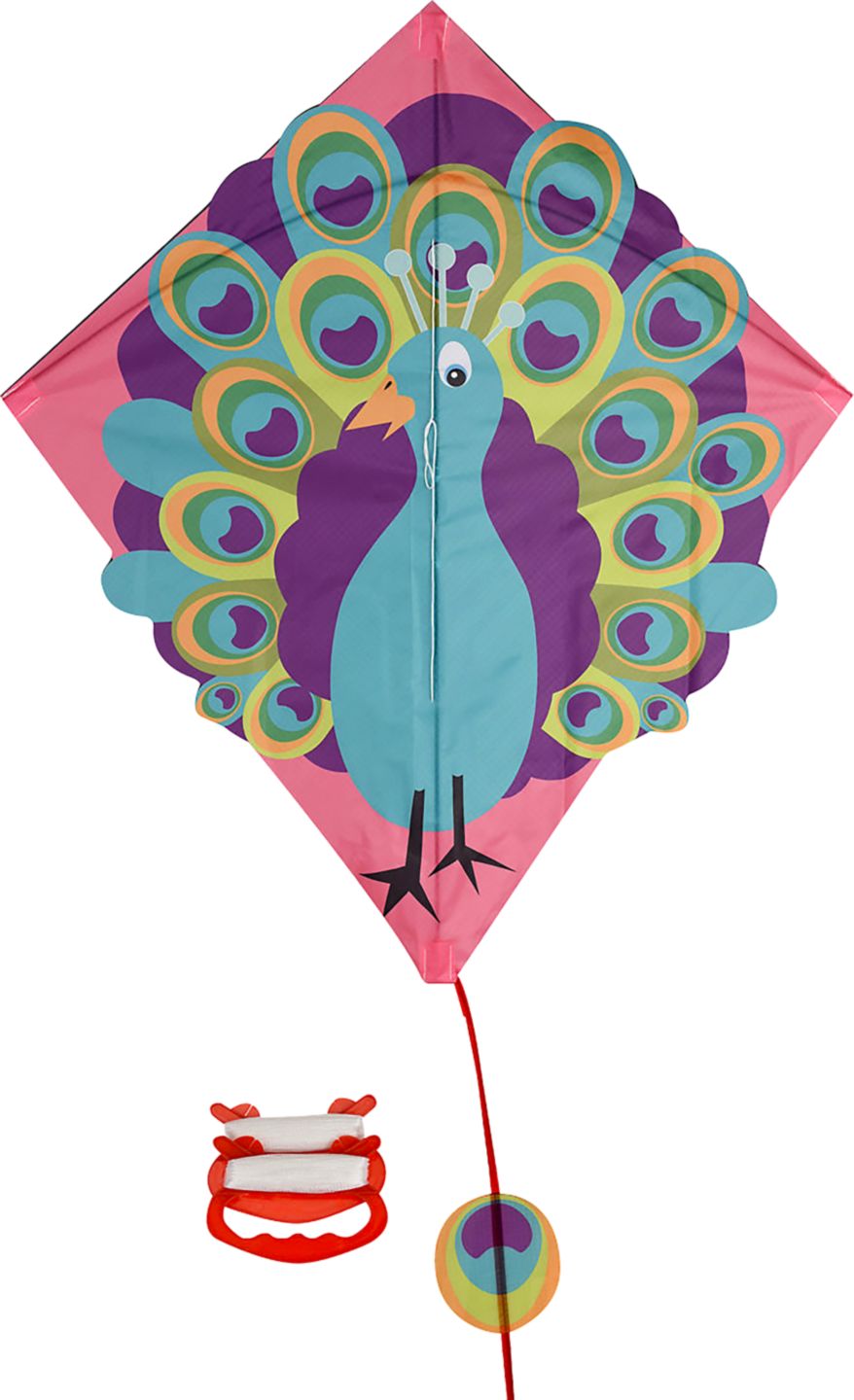 Létající drak 57 x 52 cm