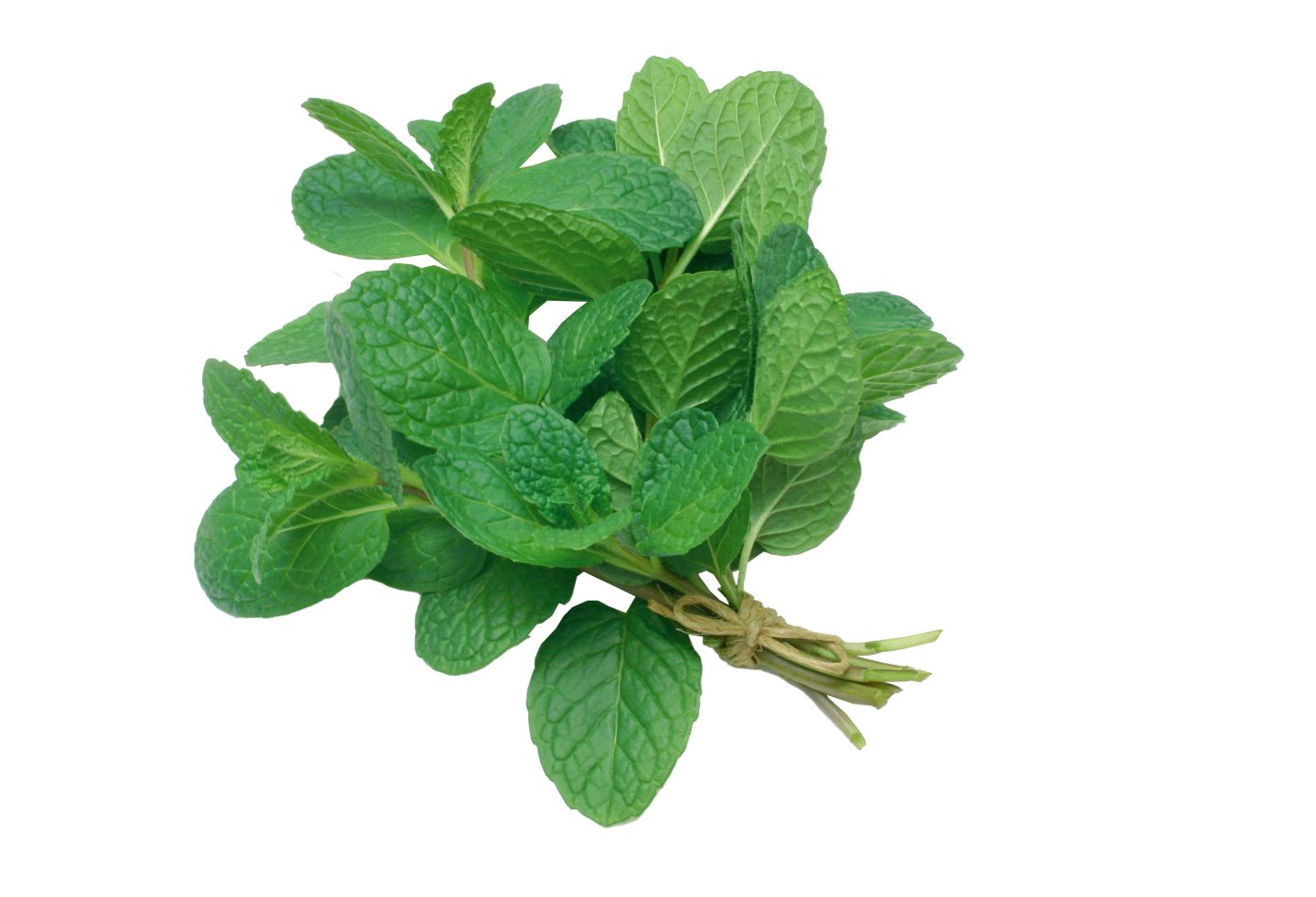 Изображение на Джоджен 