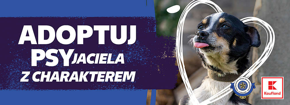 Zdjęcie czarnobiałego psa w sercu z napisem na niebielskim tle obok