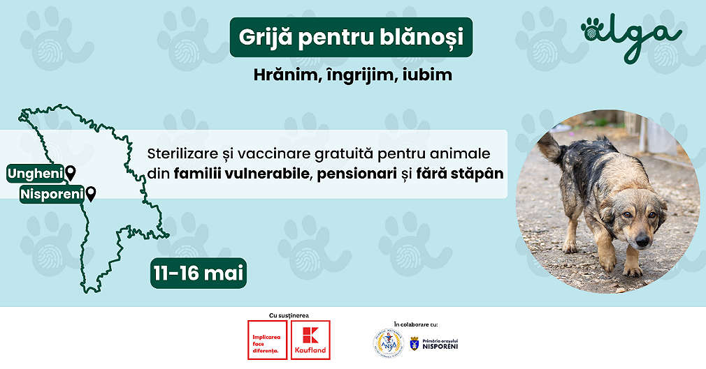 Grijă pentru blănoși: Alga lansează campania de sterilizare și vaccinare gratuită pentru animale din Nisporeni și Ungheni între 11-16 mai
