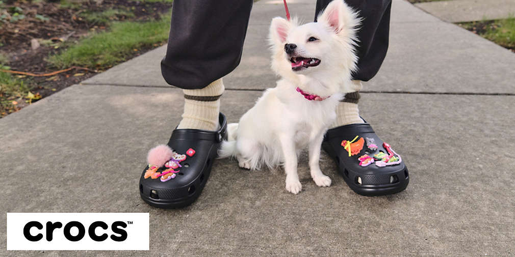 Piesek pomiędzy nogami z ubranymi Crocsami