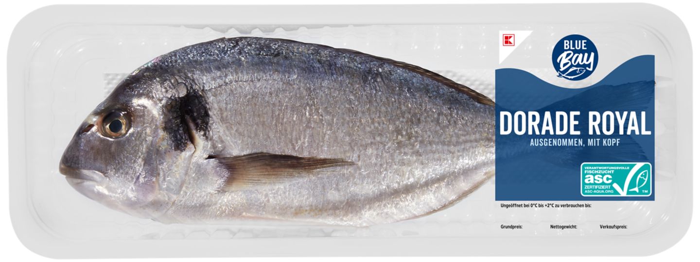 K-BLUE BAY Dorade Royal