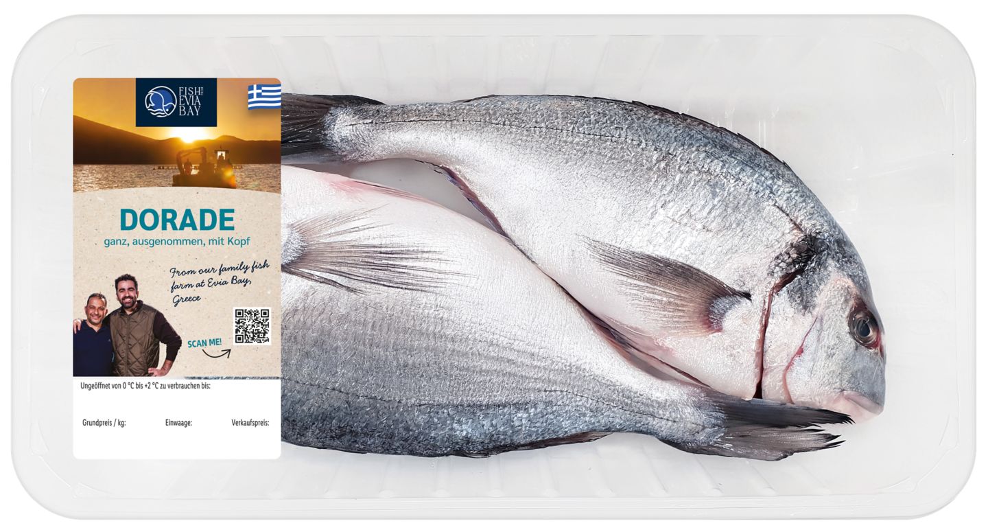 FISH FROM EVIA BAY Dorade