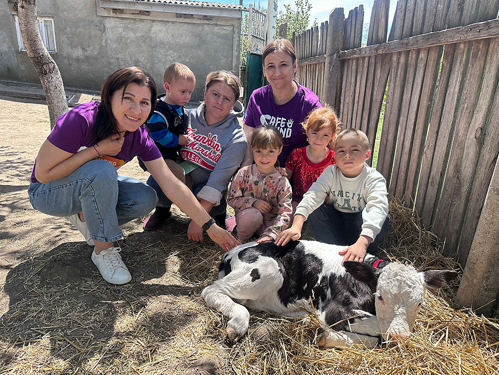 Animale domestice, cursuri de perfecționare. Peste 100 de familii vulnerabile din țară învață să devină independente economic