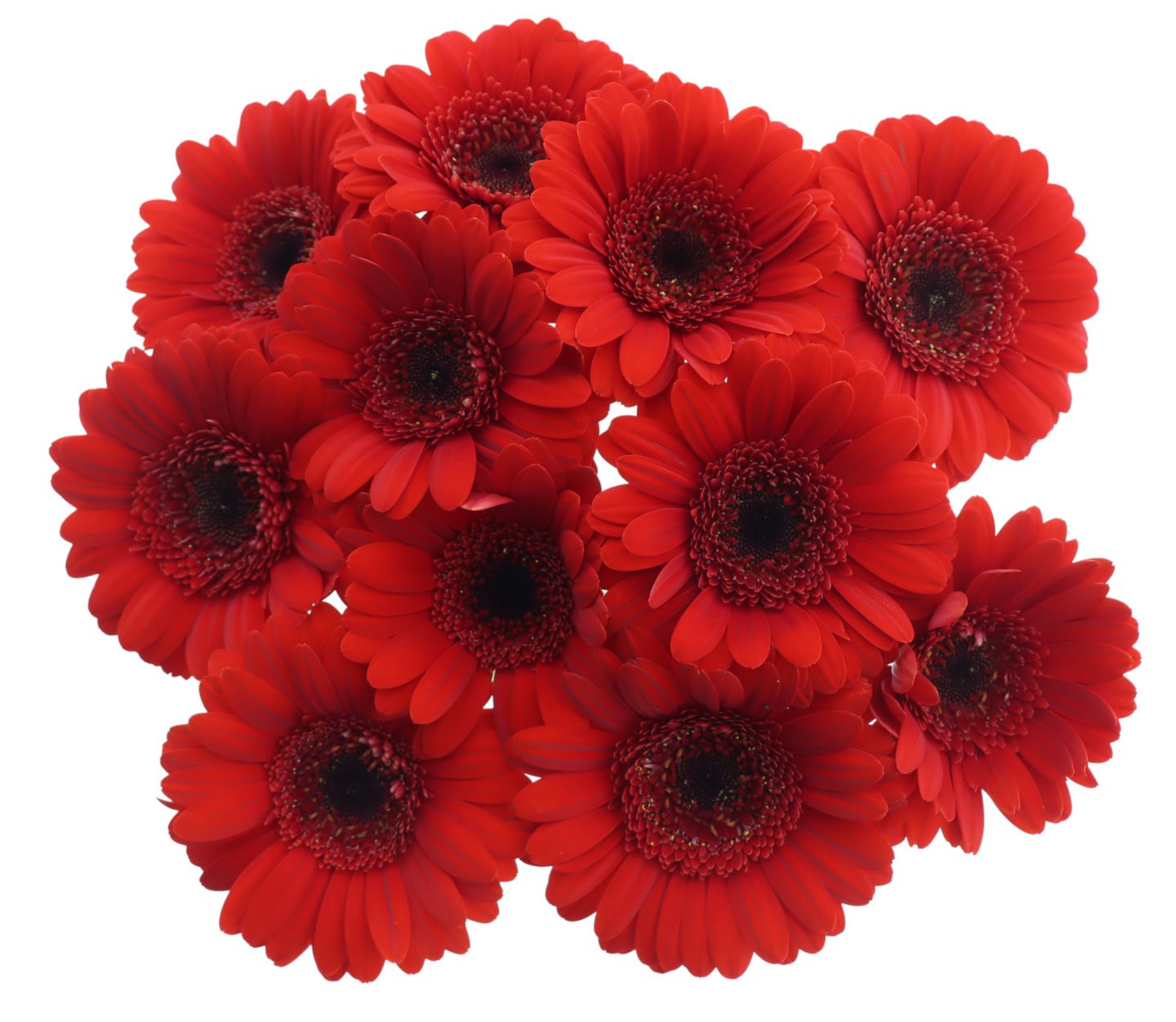 Изображение на Букет гербери 