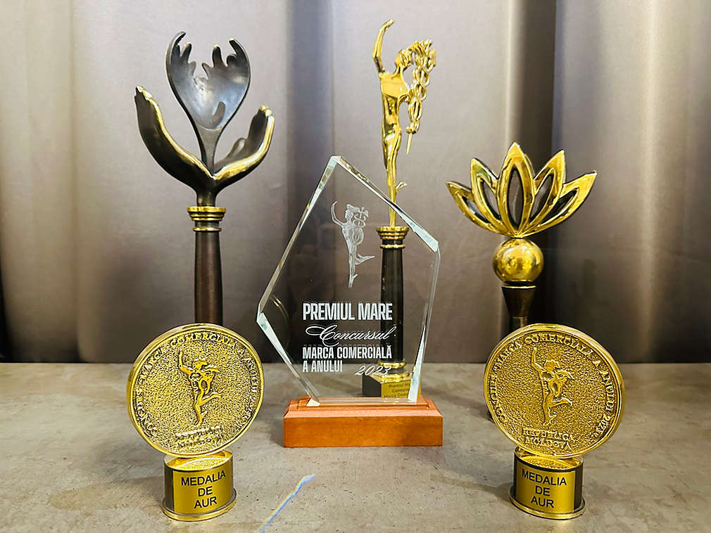 6 trofee de top! Kaufland Moldova premiată în cadrul concursului „Marca Comercială a Anului 2023”