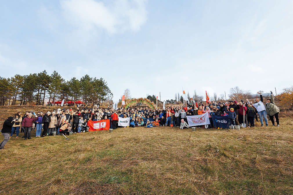 „Pădurea Prieteniei” – Ediția II: refacerea ecosistemelor locale și sporirea biodiversității