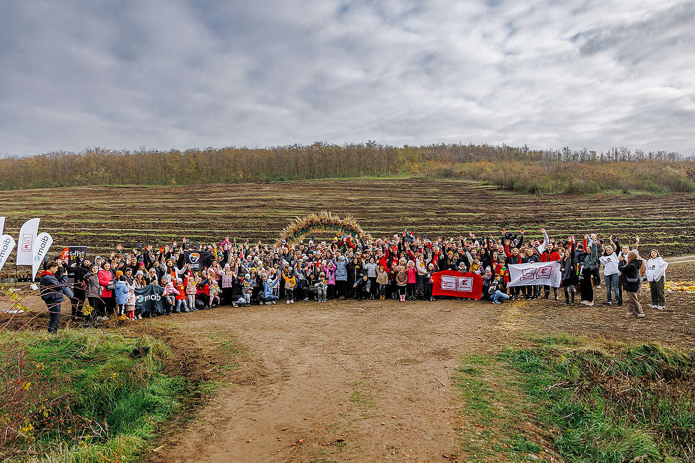 Pădurea Prieteniei – am plantat 16 000 de copaci pentru un viitor mai verde!