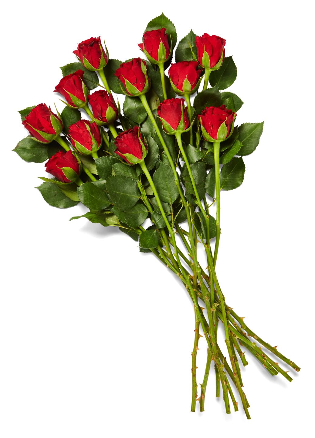 Изображение на Букет рози 