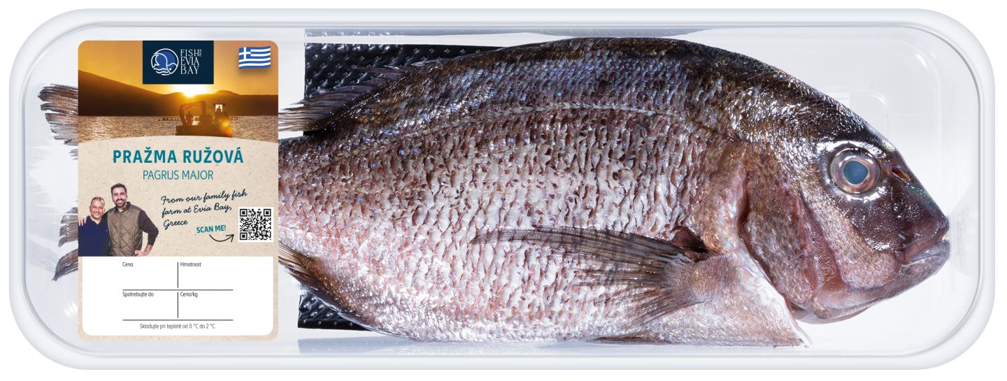 Evia Bay Pražma ružová, pitvaná