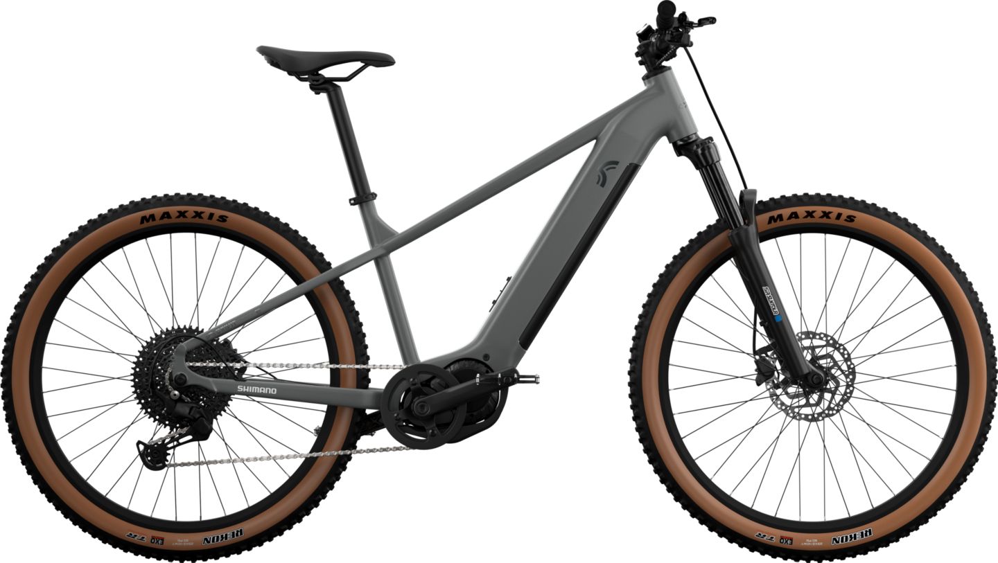 CRIVIT E-Mountainbike 29 Zoll »PEAK 709«