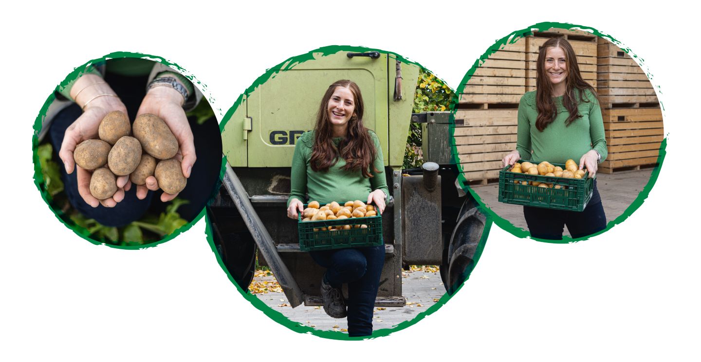 Drei Kreise mit Abbildung: Landwirtin mit Kartoffeln