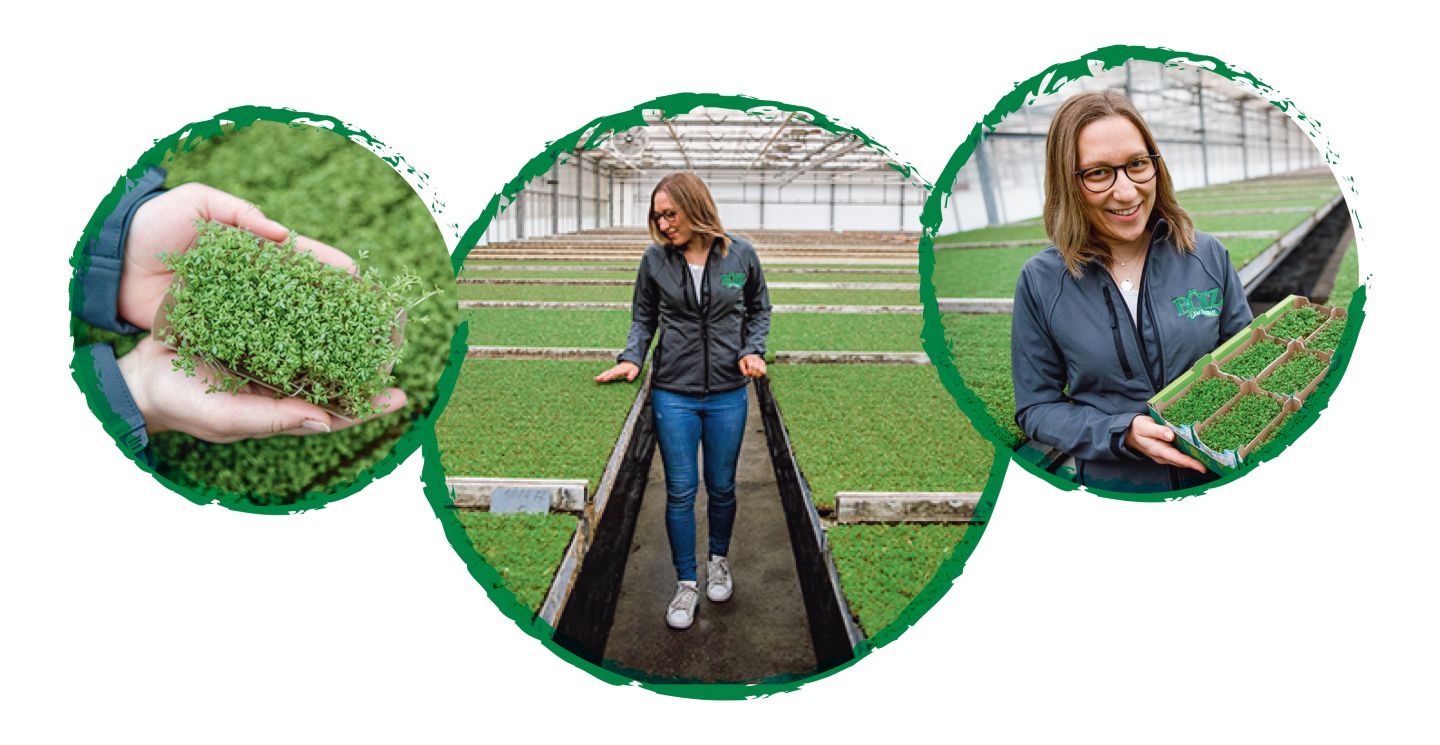 Drei Kreise mit Abbildung: Landwirtin mit Kresse