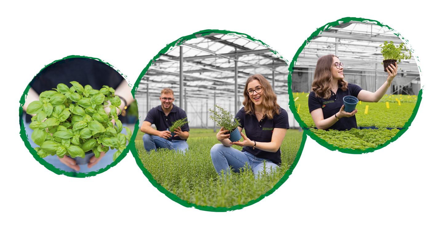 Drei Kreise mit Abbildung: Landwirte mit Kräutern