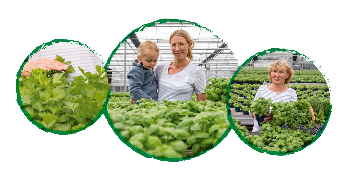 Drei Kreise mit Abbildung: Landwirtin mit Petersilie