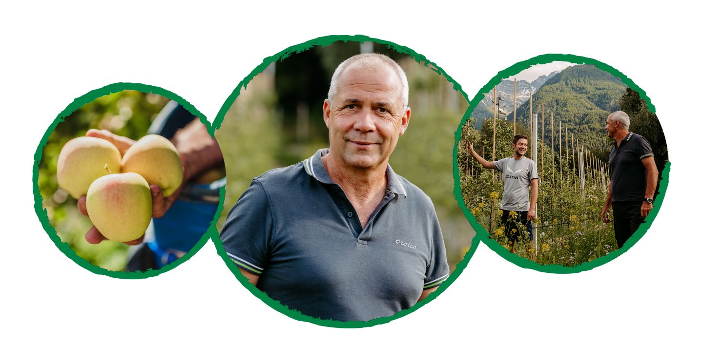 Drei Kreise mit Abbildung: Landwirt mit Äpfeln