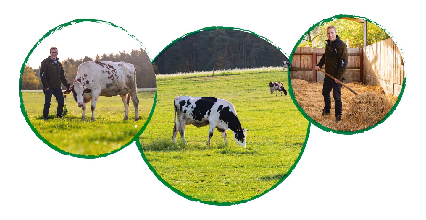 Drei Kreise mit Abbildung: Landwirt mit Kuh auf der Weide; Kühe auf der Weide; Landwirt im Stall