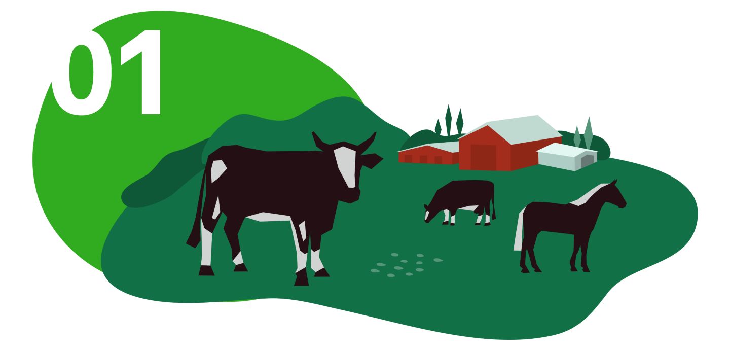 Illustration von Nutztieren auf Bauernhof; Zahl Nr. 1