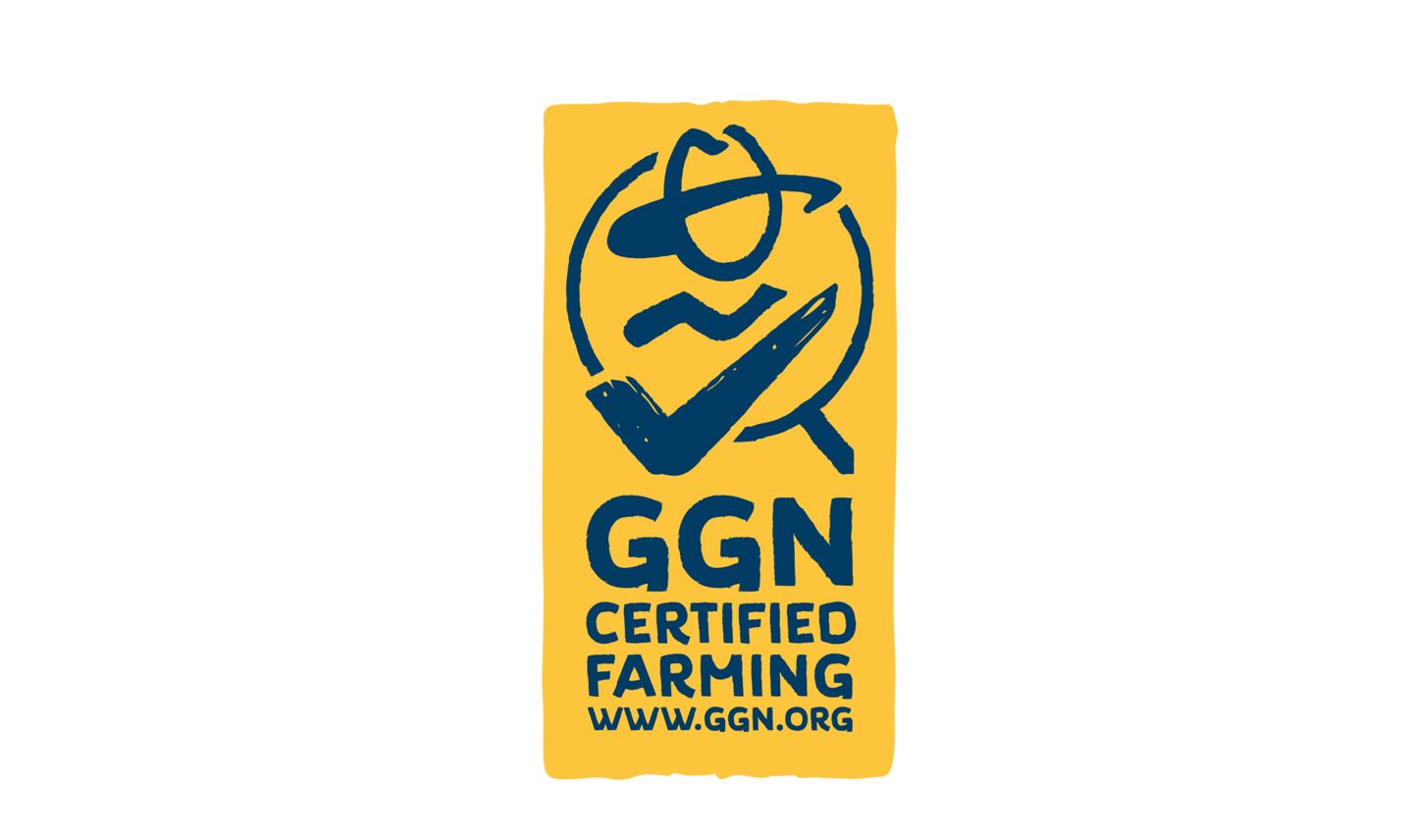 Изображение на сертификат GGN