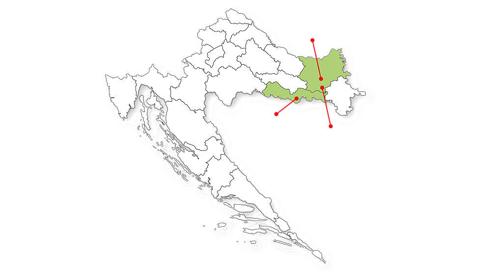 Domaće voće i povrće