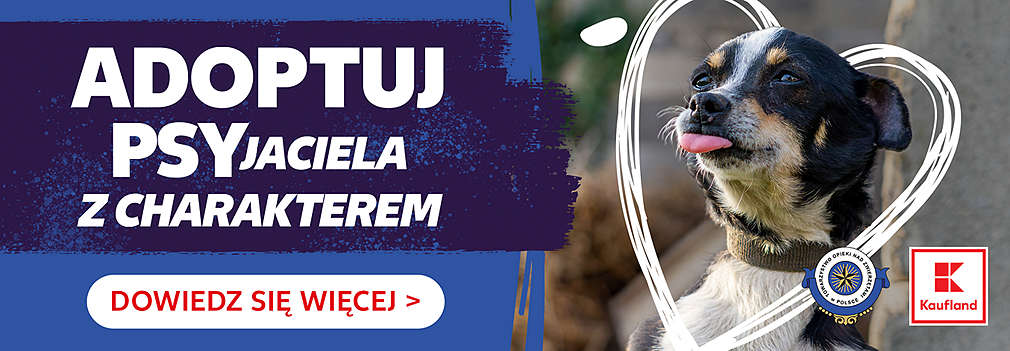 pies i hasło: adoptuj psyjaciela