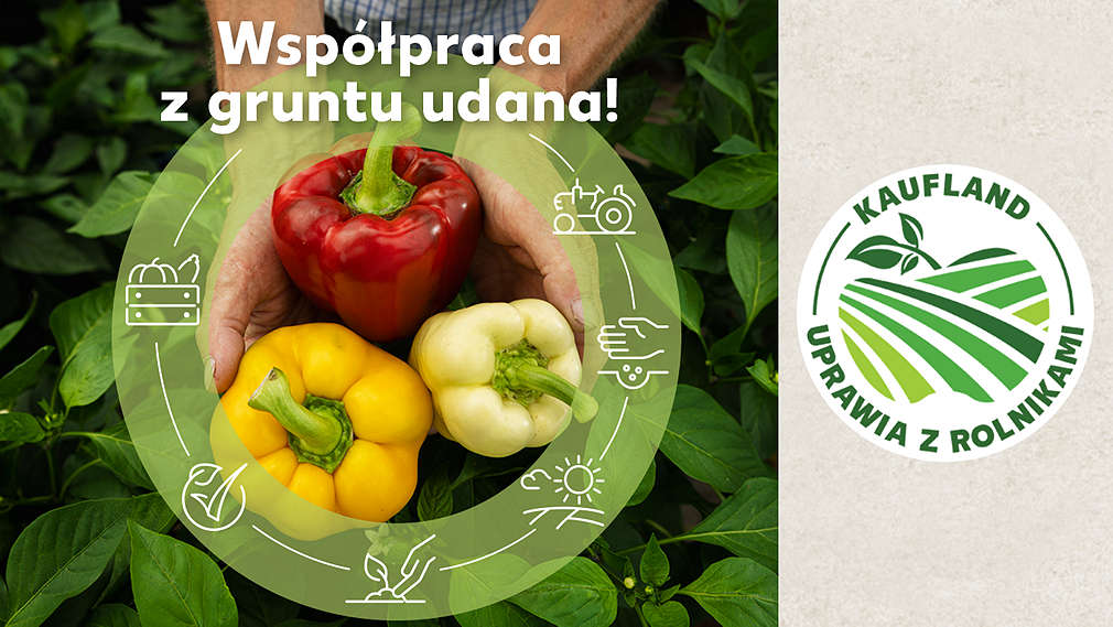 Papryka trzymana w dłoniach