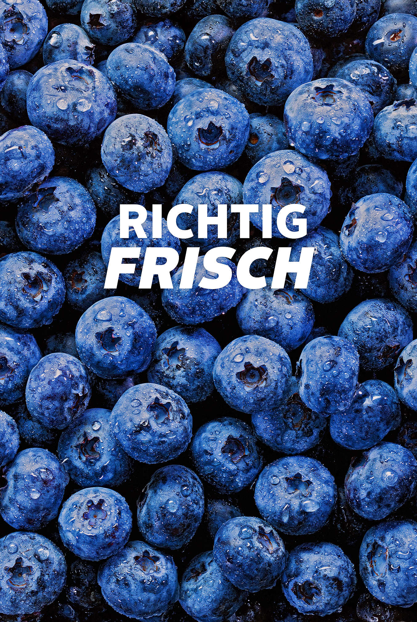 Schriftzug: Richtig frisch