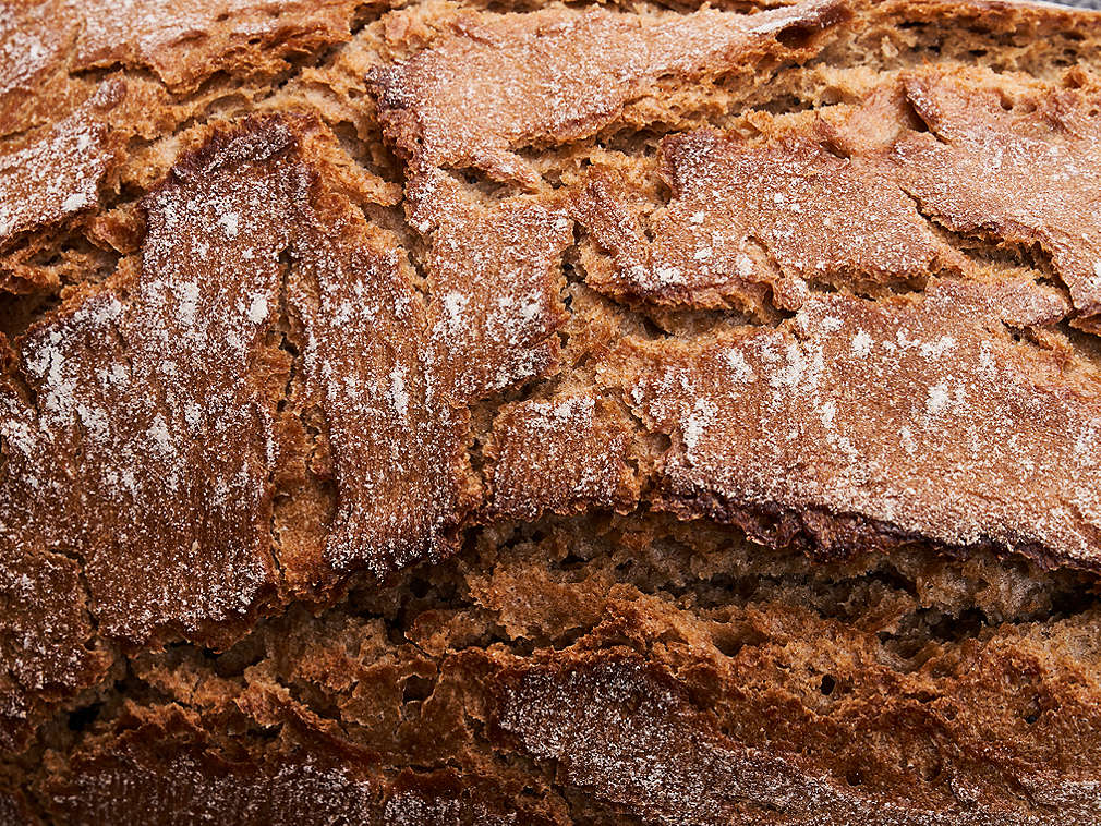 Detailný pohľad na čerstvý ražný zmiešaný chlieb