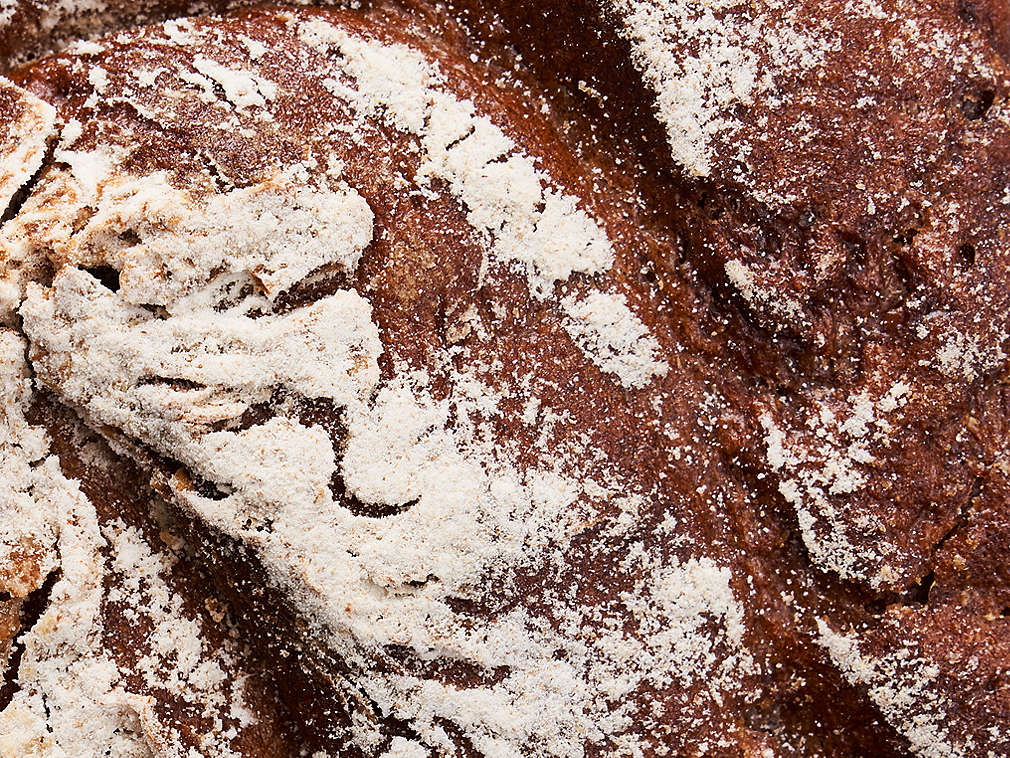 Pâine de secară proaspătă în detaliu