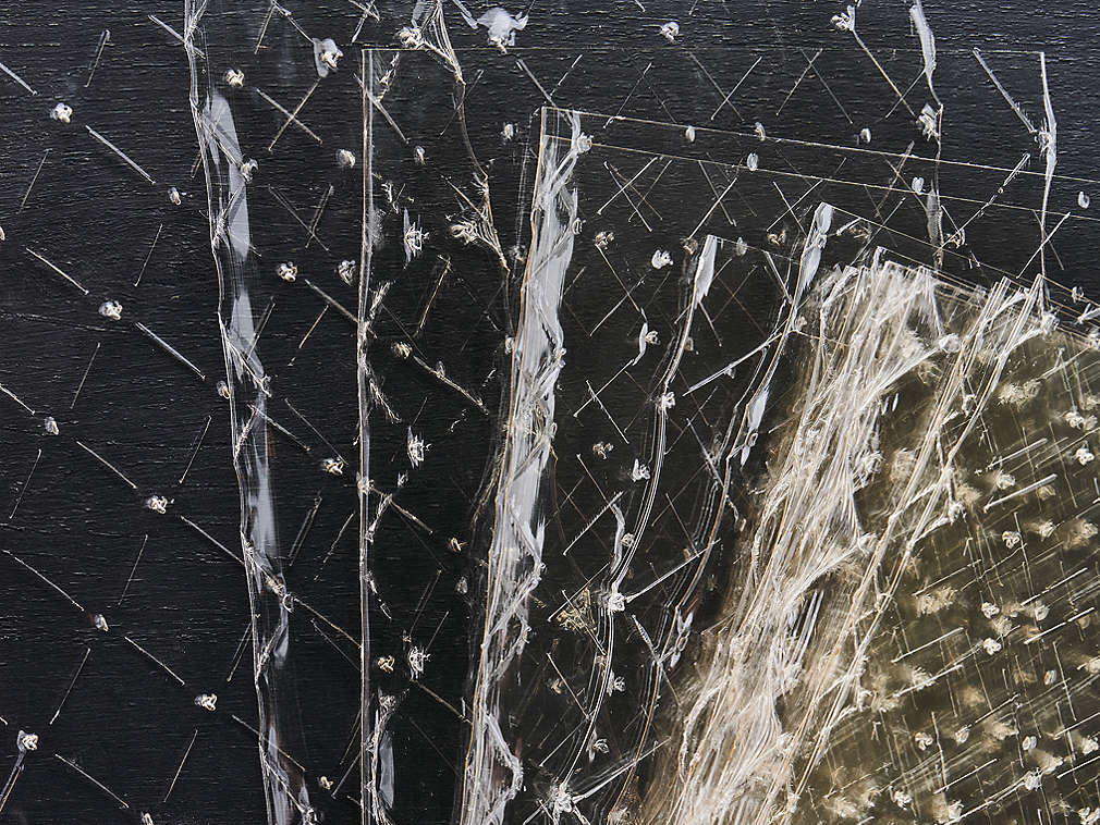 Gelatină în detaliu