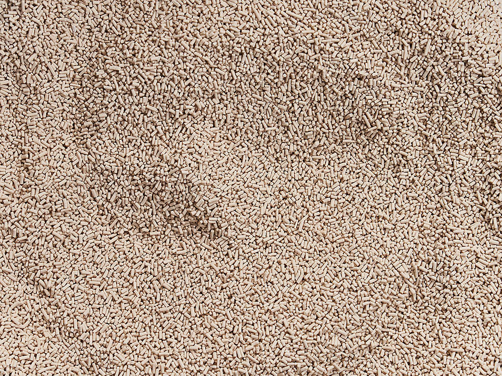 Drojdie de panificație în detaliu