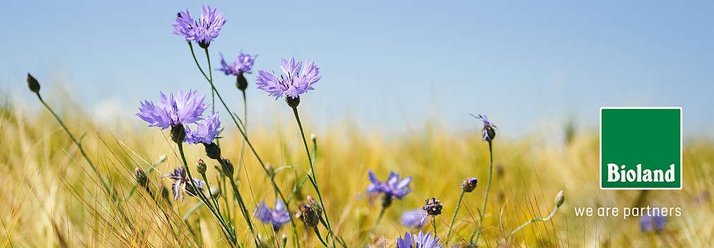 Field with meadow flowers, Bioland partner logo is placed on it.