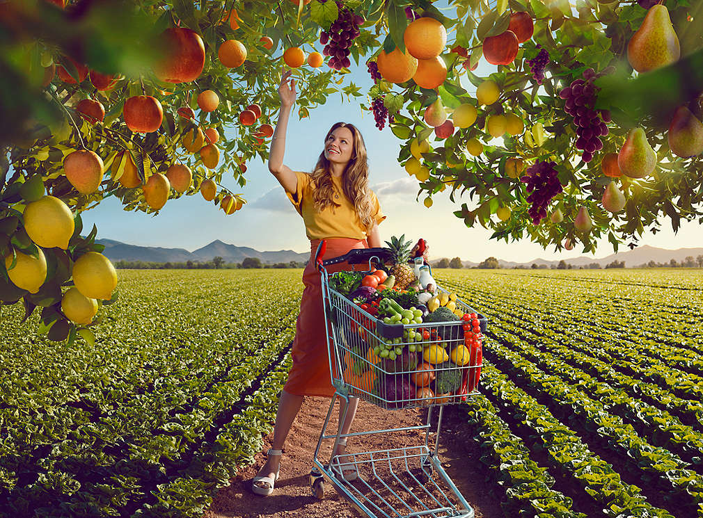 Woman picking fresh apples, lemons, pears, mangoes and grapes from tree
